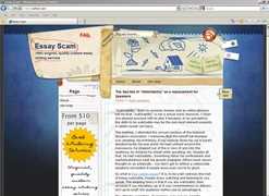 Essay writing services scams