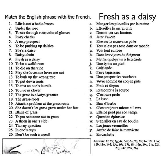 French essay writing phrases