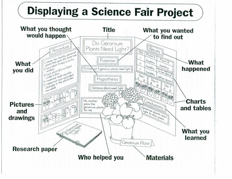 Group science fair projects
