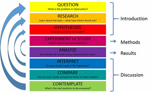 Writing a science lab report