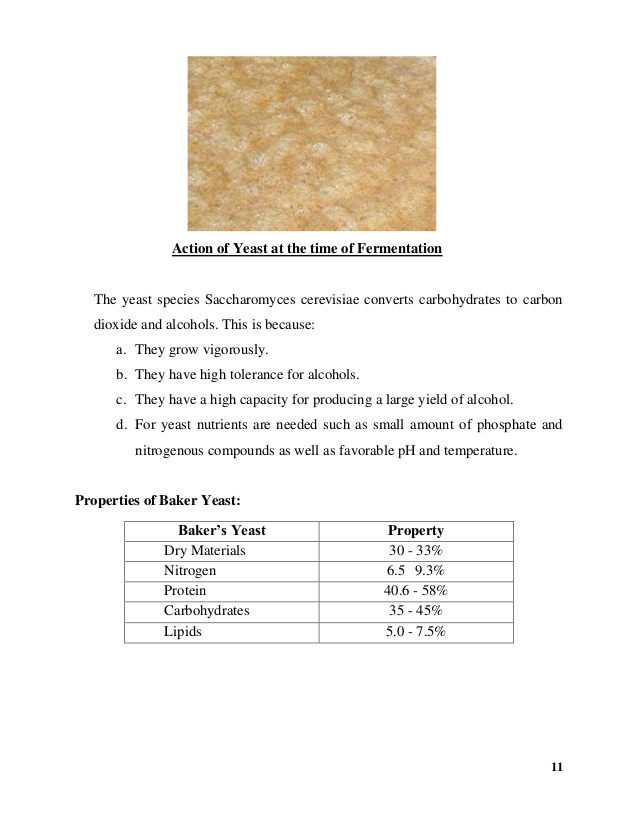 Yeast lab report